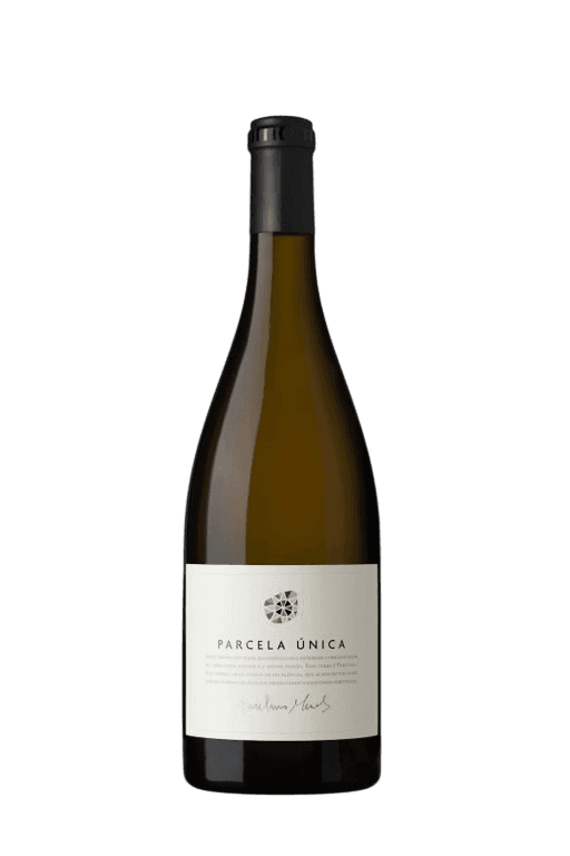 Anselmo Mendes Parcela Unica